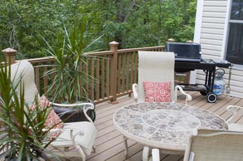 trex deck_20060814_0042006081484d