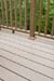 trex deck_20060814_0112006081491k